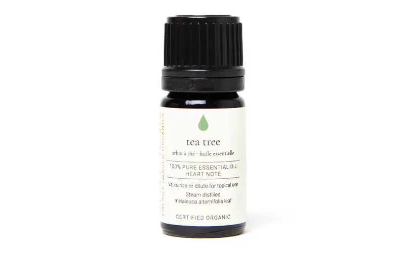 Tea Tree Certified Organic Essential Oil Tester 5ml Image