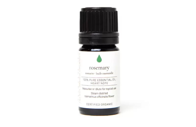 Ginger Certified Organic Essential Oil 100ml Pro Product Image