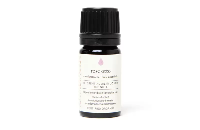 Bergamot Certified Organic Essential Oil 5ml Product Image