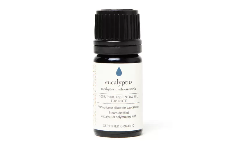 Eucalyptus Certified Organic Essential Oil Tester 5ml Image