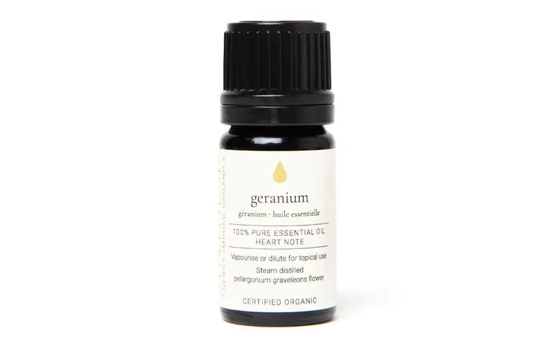 Geranium Certified Organic Essential Oil Tester 5ml Image