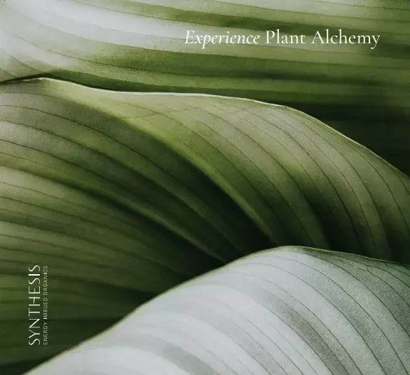 Aromatherapy display header card (Large) – leaf Image